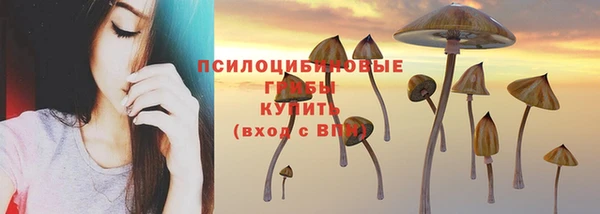 герыч Заволжск